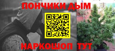 прущие грибы Краснознаменск