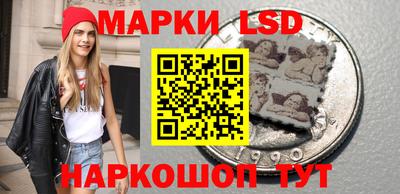 прущие грибы Краснознаменск
