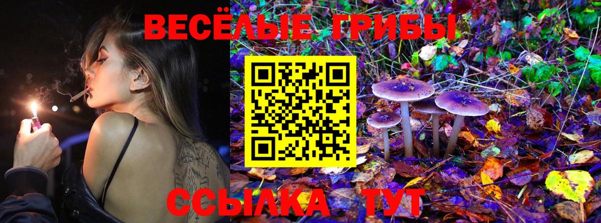 Галлюциногенные грибы прущие грибы Элиста