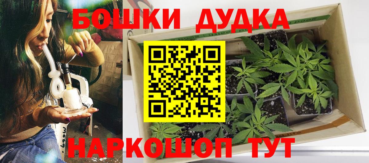 Бошки марихуана THC 21%  Вход с VPN  Шишки марихуана план  Бошки Шишки White Widow  Бошки марихуана марихуана  Элиста 